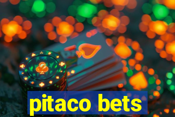 pitaco bets